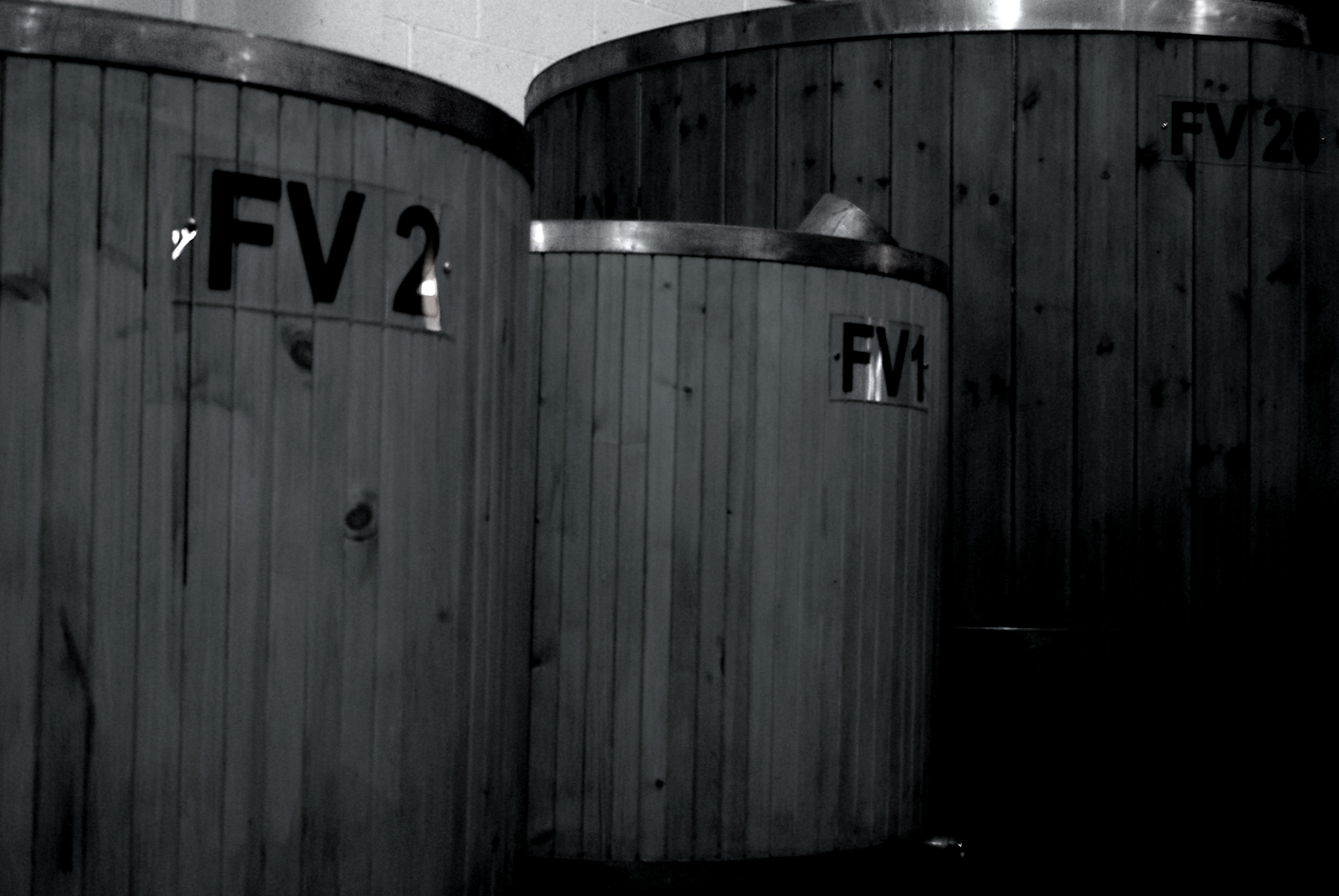 FERM1